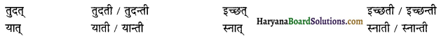 HBSE 12th Class Sanskrit व्याकरणम् प्रत्ययाः 20