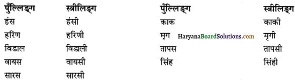 HBSE 12th Class Sanskrit व्याकरणम् प्रत्ययाः 21