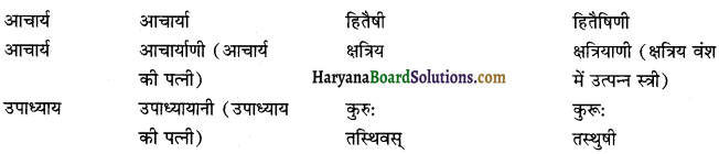 HBSE 12th Class Sanskrit व्याकरणम् प्रत्ययाः 26