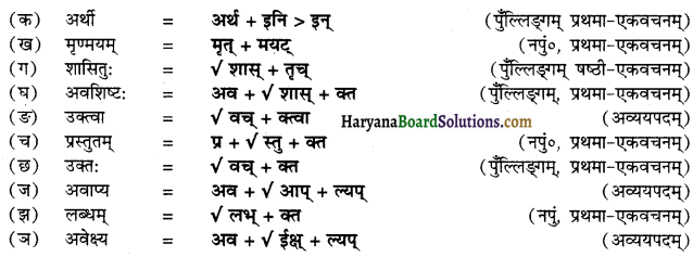 HBSE 12th Class Sanskrit व्याकरणम् प्रत्ययाः 28