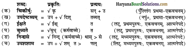 HBSE 12th Class Sanskrit व्याकरणम् प्रत्ययाः 29