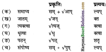 HBSE 12th Class Sanskrit व्याकरणम् प्रत्ययाः 32