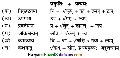 HBSE 12th Class Sanskrit व्याकरणम् प्रत्ययाः 33