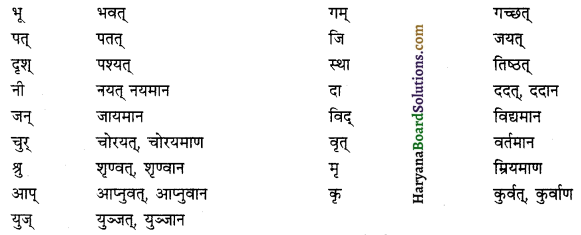 HBSE 12th Class Sanskrit व्याकरणम् प्रत्ययाः 7