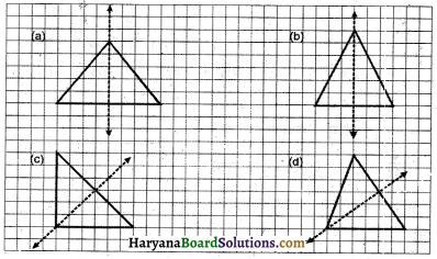 HBSE 6th Class Maths Solutions Chapter 13 सममिति Ex 13.2 4