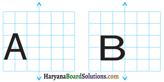 HBSE 6th Class Maths Solutions Chapter 13 सममिति Ex 13.3 7