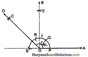 HBSE 6th Class Maths Solutions Chapter 14 प्रायोगिक ज्यामिती Ex 14.6 10