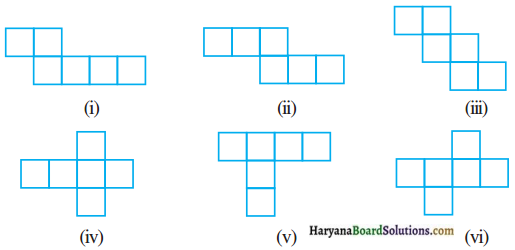 HBSE 7th Class Maths Solutions Chapter 15 ठोस आकारों का चित्रण Ex 15.1 1