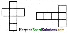 HBSE 7th Class Maths Solutions Chapter 15 ठोस आकारों का चित्रण Ex 15.1 6