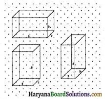 HBSE 7th Class Maths Solutions Chapter 15 ठोस आकारों का चित्रण Ex 15.2 3