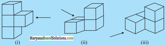 HBSE 7th Class Maths Solutions Chapter 15 ठोस आकारों का चित्रण InText Questions 10
