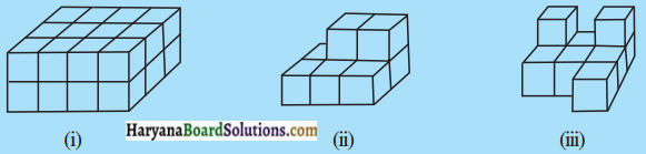 HBSE 7th Class Maths Solutions Chapter 15 ठोस आकारों का चित्रण InText Questions 3