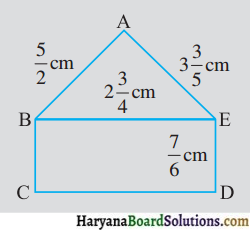 HBSE 7th Class Maths Solutions Chapter 2 भिन्न एवं दशमलव Ex 2.1 - 12