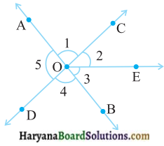 HBSE 7th Class Maths Solutions Chapter 5 रेखा एवं कोण Ex 5.1 - 4