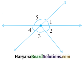 HBSE 7th Class Maths Solutions Chapter 5 रेखा एवं कोण Ex 5.1 - 5