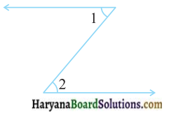 HBSE 7th Class Maths Solutions Chapter 5 रेखा एवं कोण Ex 5.1 - 6