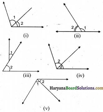 HBSE 7th Class Maths Solutions Chapter 5 रेखा एवं कोण InText Questions 3