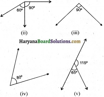 HBSE 7th Class Maths Solutions Chapter 5 रेखा एवं कोण InText Questions 6