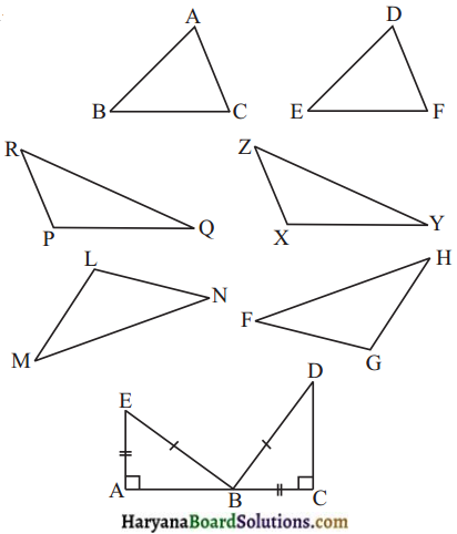 HBSE 7th Class Maths Solutions Chapter 7 त्रिभुजों की सर्वांगसमता Ex 7.2 - 1