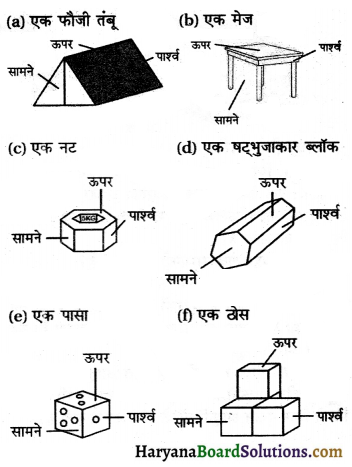 HBSE 8th Class Maths Solutions Chapter 10 ठोस आकारों का चित्रण Ex 10.1 -5