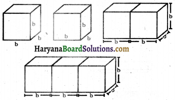 HBSE 8th Class Maths Solutions Chapter 11 क्षेत्रमिति Intext Questions -19