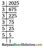 HBSE 8th Class Maths Solutions Chapter 6 वर्ग और वर्गमूल Ex 6.3 -19
