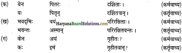 HBSE 9th Class Sanskrit Solutions Shemushi Chapter 7 प्रत्यभिज्ञानम् img-3
