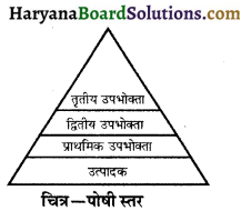 HBSE 10th Class Science Important Questions Chapter 15 हमारा पर्यावरण 10