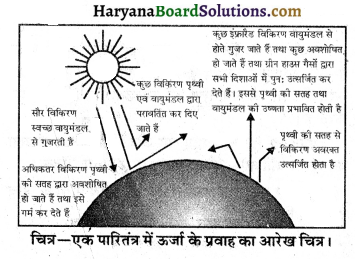 HBSE 10th Class Science Important Questions Chapter 15 हमारा पर्यावरण 4