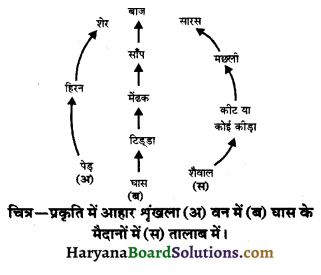 HBSE 10th Class Science Important Questions Chapter 15 हमारा पर्यावरण 7