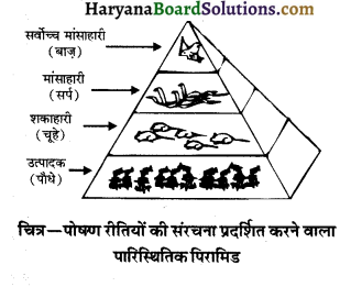 HBSE 10th Class Science Important Questions Chapter 15 हमारा पर्यावरण 9