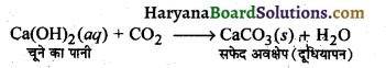 HBSE 10th Class Science Important Questions Chapter 2 अम्ल, क्षारक एवं लवण 11