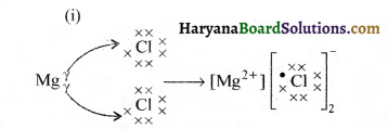HBSE 10th Class Science Important Questions Chapter 3 धातु एवं अधातु 14
