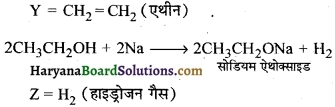 HBSE 10th Class Science Important Questions Chapter 4 कार्बन एवं इसके यौगिक 24