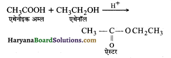HBSE 10th Class Science Important Questions Chapter 4 कार्बन एवं इसके यौगिक 37