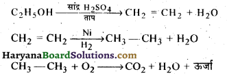 HBSE 10th Class Science Important Questions Chapter 4 कार्बन एवं इसके यौगिक 64