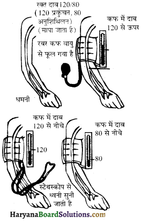 HBSE 10th Class Science Important Questions Chapter 6 जैव प्रक्रम 26