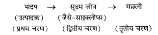 HBSE 10th Class Science Solutions Chapter 15 हमारा पर्यावरण 2