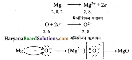 HBSE 10th Class Science Solutions Chapter 3 धातु एवं अधातु 12