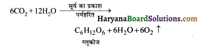 HBSE 10th Class Science Solutions Chapter 6 जैव प्रक्रम 1