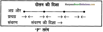 HBSE 11th Class Geography Important Questions Chapter 3 पृथ्वी की आंतरिक संरचना 5