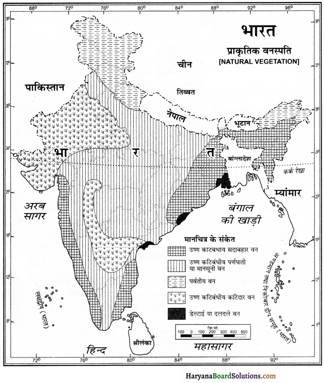 HBSE 11th Class Geography Important Questions Chapter 5 प्राकृतिक वनस्पति 1