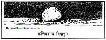 HBSE 11th Class Geography Important Questions Chapter 6 भू-आकृतिक प्रक्रियाएँ 2
