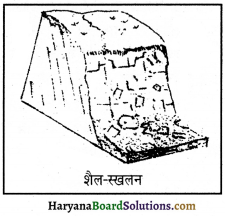 HBSE 11th Class Geography Important Questions Chapter 6 भू-आकृतिक प्रक्रियाएँ 5