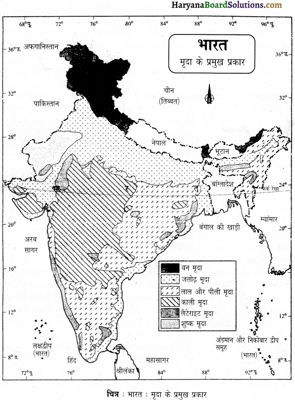 HBSE 11th Class Geography Important Questions Chapter 6 मृदाएँ 1