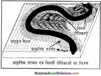 HBSE 11th Class Geography Important Questions Chapter 7 भू-आकृतियाँ तथा उनका विकास 10