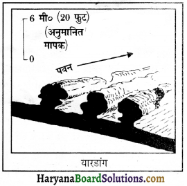 HBSE 11th Class Geography Important Questions Chapter 7 भू-आकृतियाँ तथा उनका विकास 27