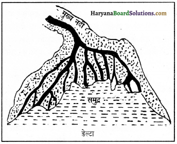 HBSE 11th Class Geography Important Questions Chapter 7 भू-आकृतियाँ तथा उनका विकास 3