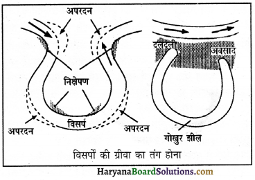 HBSE 11th Class Geography Important Questions Chapter 7 भू-आकृतियाँ तथा उनका विकास 8