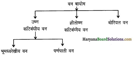 HBSE 11th Class Geography Solutions Chapter 15 पृथ्वी पर जीवन 1